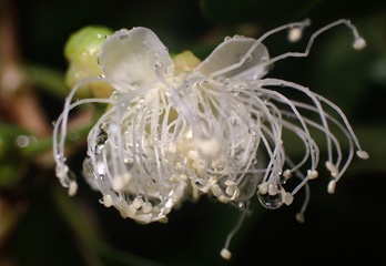PC313403a.jpg